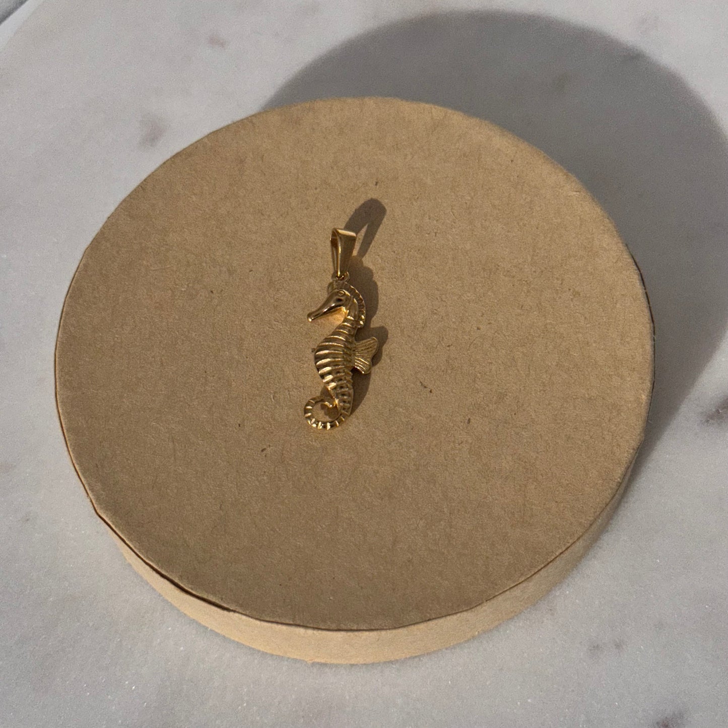 SEA HORSE CHARM